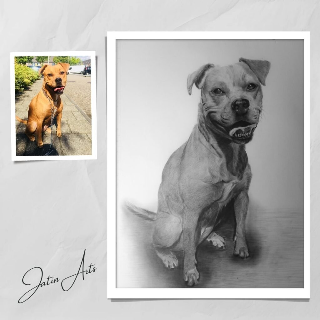 pet portraits