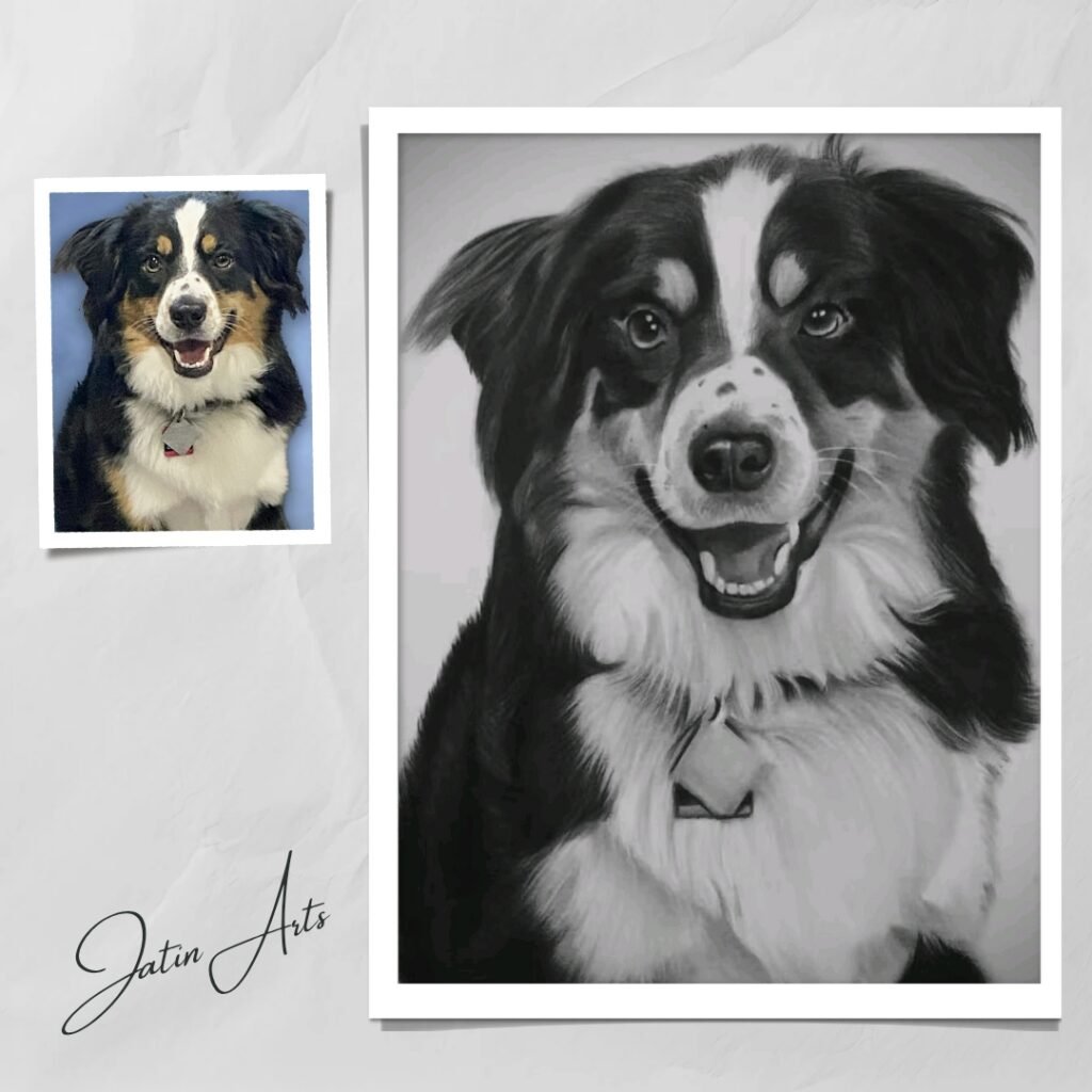Pet Portraits